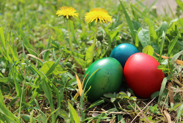 Colorful Easter eggs