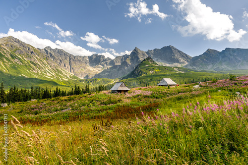 Obrazy Dolina Gąsienicowa  polish-tatra-mountains-hala-gasienicowa