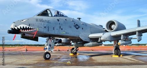 Tela A-10 Warthog/Thunderbolt Jet