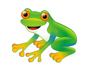 Wall Mural - frog toad amphibian character mascot image vector