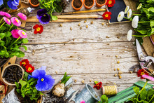 Garden Tools, Flowers And Seeds On A Wooden Background, Frame