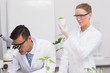 © WavebreakMediaMicro - Scientists examining plants