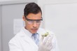 © WavebreakMediaMicro - Scientist holding a petri dish with tests of plants