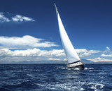 Fototapeta Sawanna - Sailing yacht race, picture with space for logos.