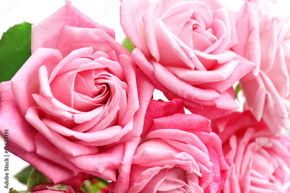 Bouquet of beautiful fresh roses, closeup
