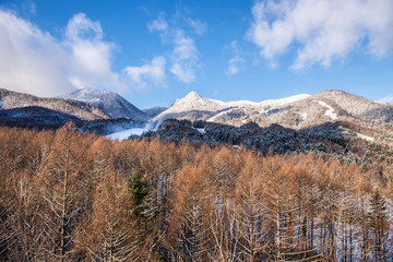 Beautiful landscape of winter season