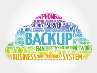 Poster - BACKUP word cloud, business concept