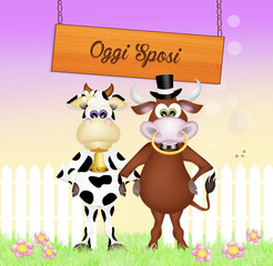 Sticker - Bull and cow in love