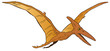 Pterodactyl dinosaur vector