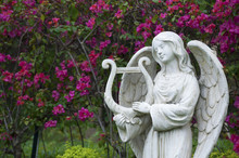 White Marble Statue Of Angel In Flower Garden