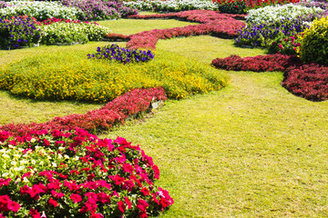 Wall Mural - Beautiful garden design.