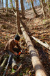 © Xalanx - Old woodcutter at work with chainsaw