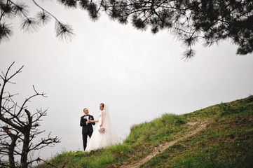 Wall Mural - Wedding couple under the tree