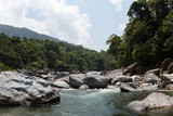 Fototapeta Desenie - Cangrejal river in pico Bonito national park Honduras