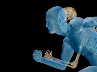 3d human man anatomy for health or medicine