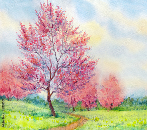 Fototapeta na wymiar Watercolor spring landscape. Flowering tree in a field