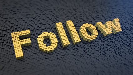 follow cubics