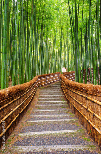 Plakat na zamówienie Path to bamboo forest, Arashiyama, Kyoto, Japan