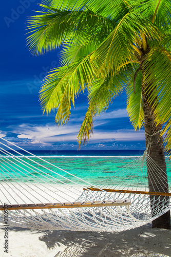 Naklejka dekoracyjna Empty hammock between palm trees on tropical beach of Rarotonga