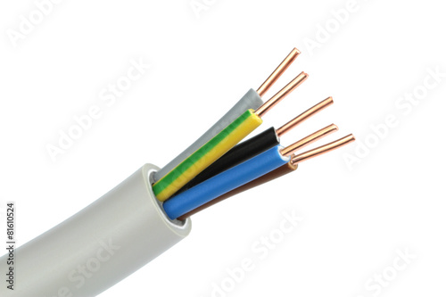 Fotografía Electric cable on white background. Macro shot.