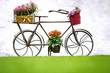 Iron Hand Made Bicycle and Flowers