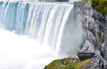 Wall Mural - horseshoe fall, niagara falls, ontario, canada