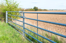 Side View Of Closed Farmland Metal Gate In England