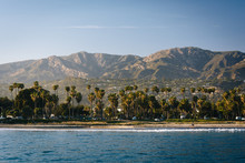 View Of Palm Trees On The Shore And Mountains From Stearn's Whar