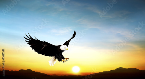 Naklejka dekoracyjna eagle flying in the sky beautiful sunset