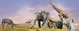 Fototapeta Zwierzęta - Savanna wild animals collage