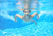 © Iuliia Sokolovska - Happy girl swims in pool underwater, active kid swimming