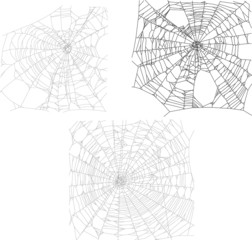 Wall Mural - three black spider webs collection