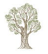 vector hand drawn Tree