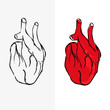 Set of two hearts, heart illustration, medical vector eps10