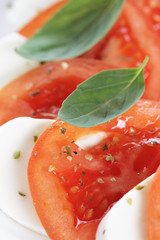 Wall Mural - classic caprese salad closeup photo