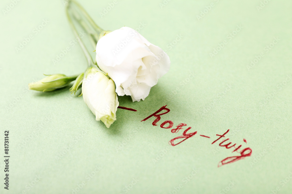 Beautiful rosy twig with inscription on paper background