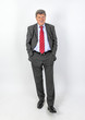 © travelview - smiling mature businessman standing