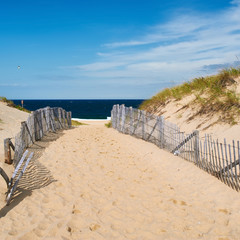 Poster - Path way to the beach at Cape Cod