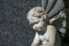 Putto Or Child Angel Statue As A Grave Stone On A Cemetery