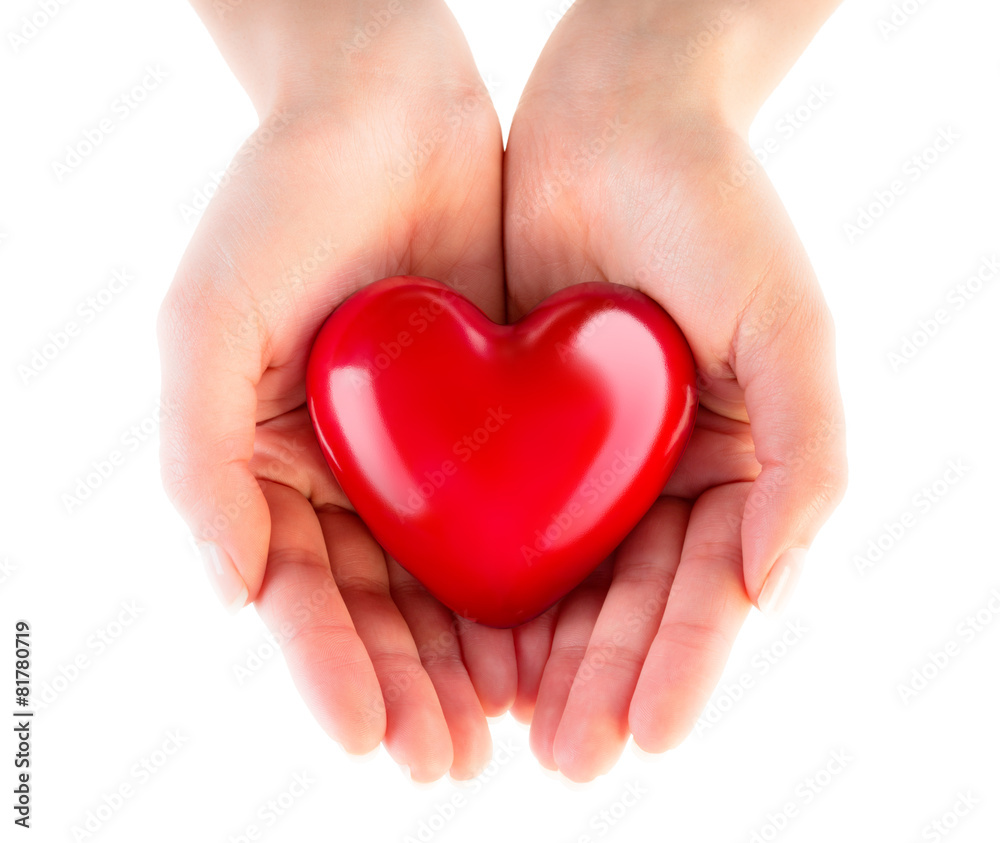 heart in hands - donation of love - obrazy, fototapety, plakaty 