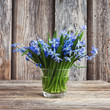 Spring bluebell flowers in small vase on wooden background