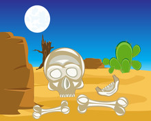 Skull And Crossbones In Desert