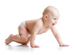 © Oksana Kuzmina - crawling baby isolated on white background