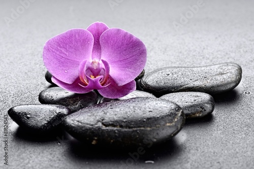 Fototapeta na wymiar Czarno-białe zdjęcie kamieni ZEN z fioletowym storczykiem