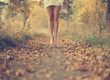 © VectorART - Beautiful female legs in the autumn road