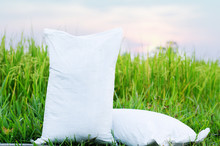 Fertilizer Bag Over Green Rice