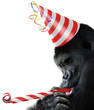 Gorilla party animal with a birthday hat and noisemaker horn