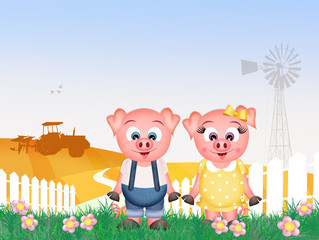 Wall Mural - pigs in the farm