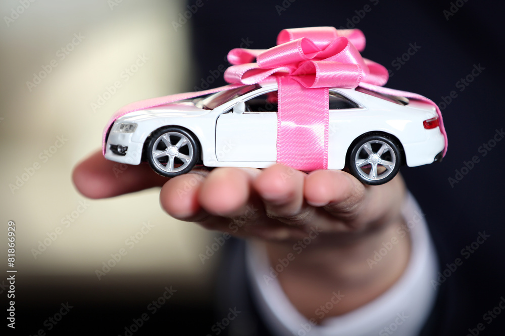 Man holding model of car in his hands, closeup