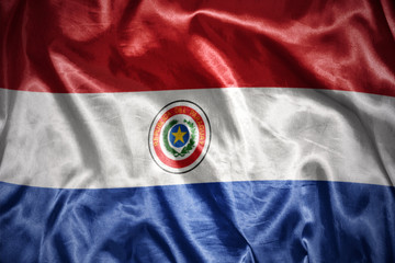 shining paraguayan flag